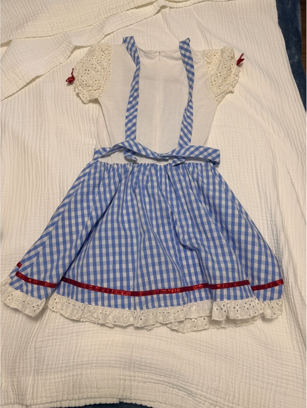 The Wizard of Oz Blue Gingham Dress with Red Bow and Lace Trim, Childs M - Picture 14 of 14